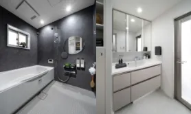 Bath room / Powder room