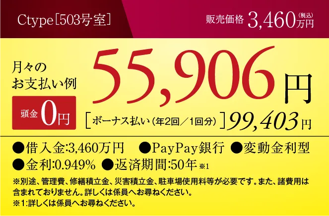 Cタイプの支払い例