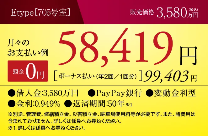 Eタイプの支払い例