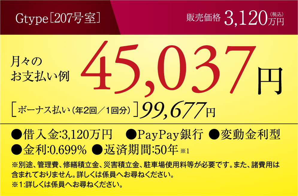 Gタイプの支払い例