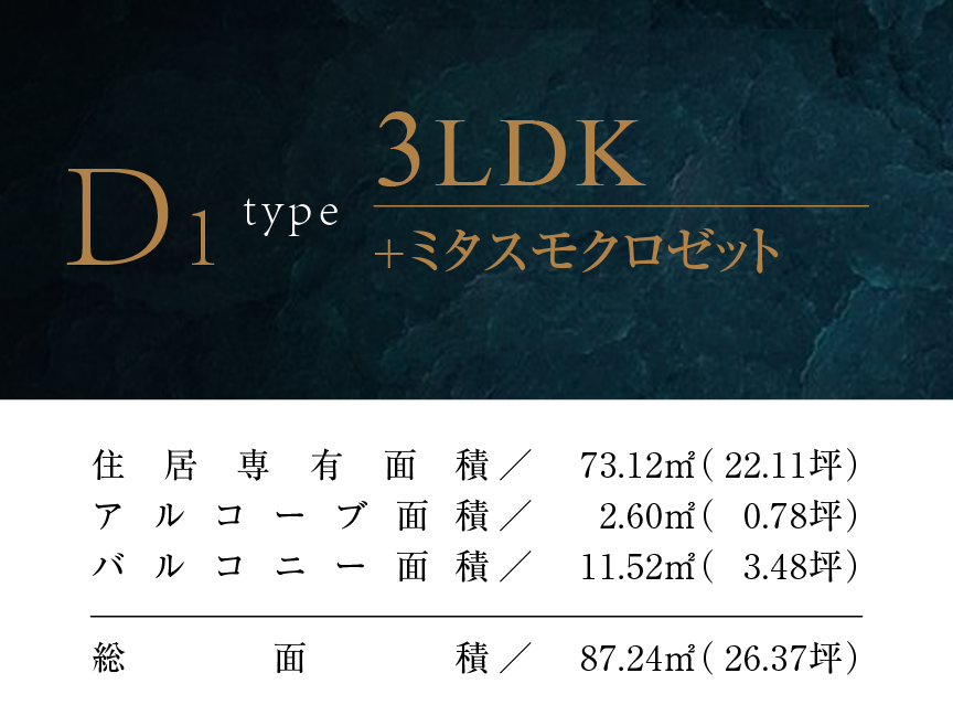D1タイプ