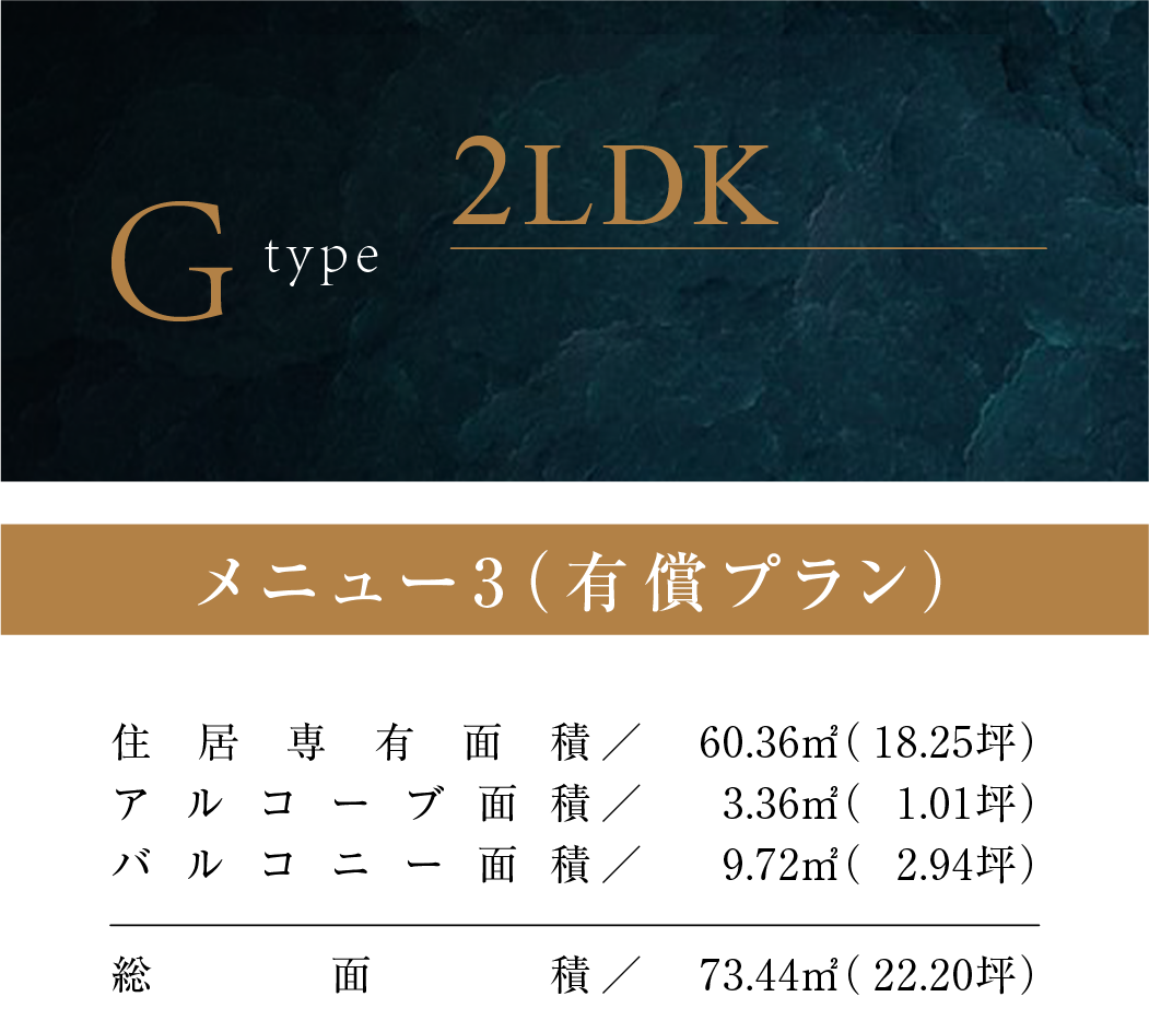 Gタイプ（メニュー3）