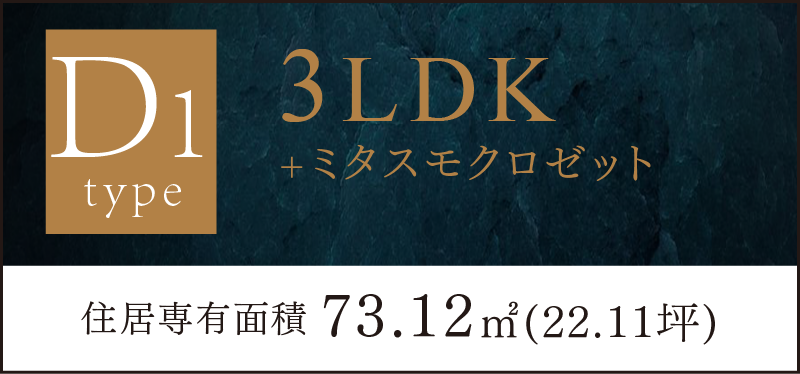 D1タイプ 