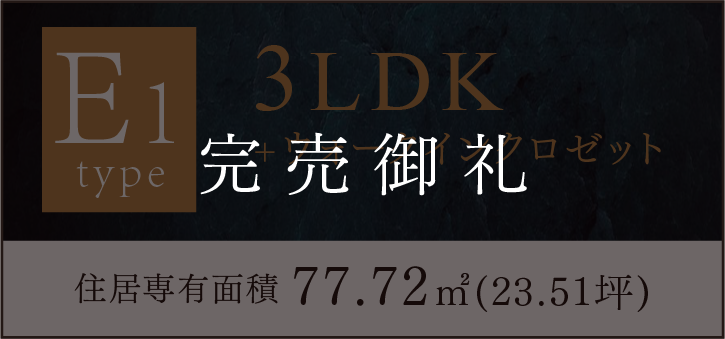 E1タイプ 