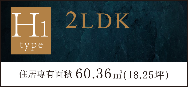 H1タイプ