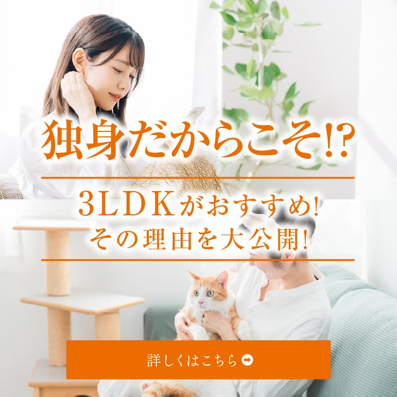 独身だからこそ！？3LDKがおすすめ！その理由を大公開！