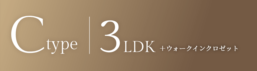 Ctype 3LDK +ウォークインクロゼット
