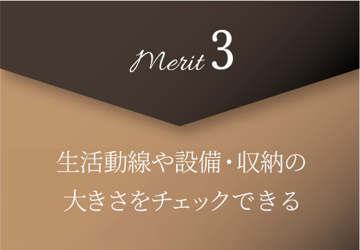 merit3