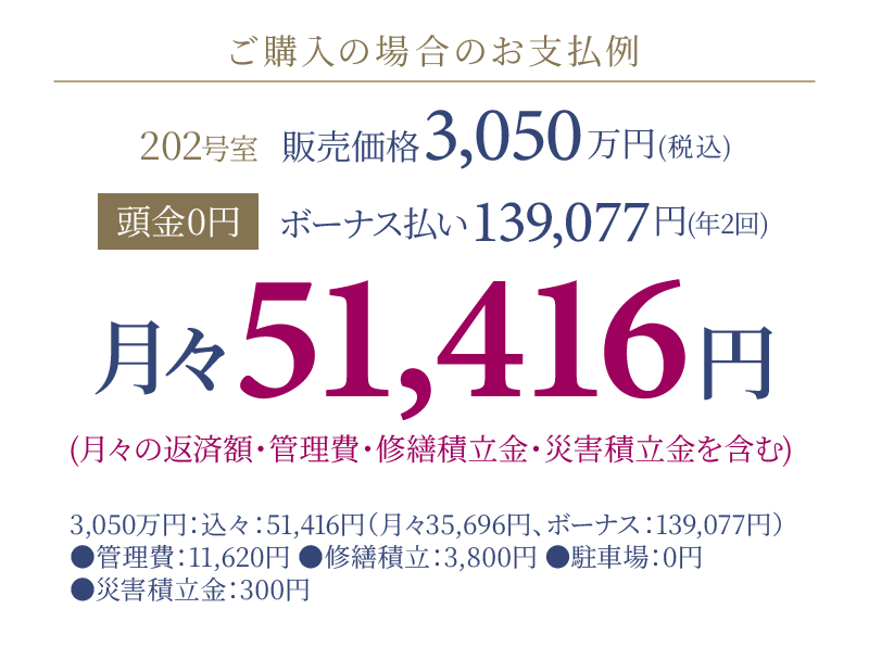 ご購入の場合のお支払例