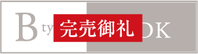 Bタイプ