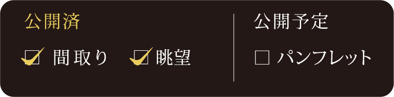 公開状況