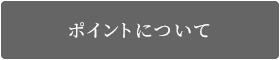ポイントについて