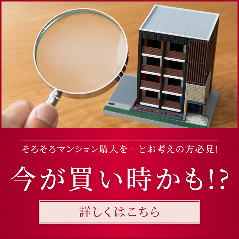 今が買い時かも!?