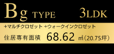 BgTYPE