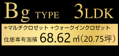 BgTYPE