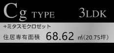 CgTYPE