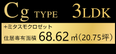 CgTYPE