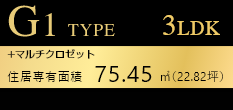 G1TYPE