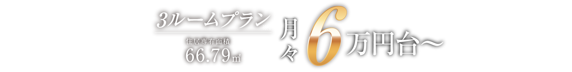 3ルームプラン 66.79㎡ 月々6万円台~