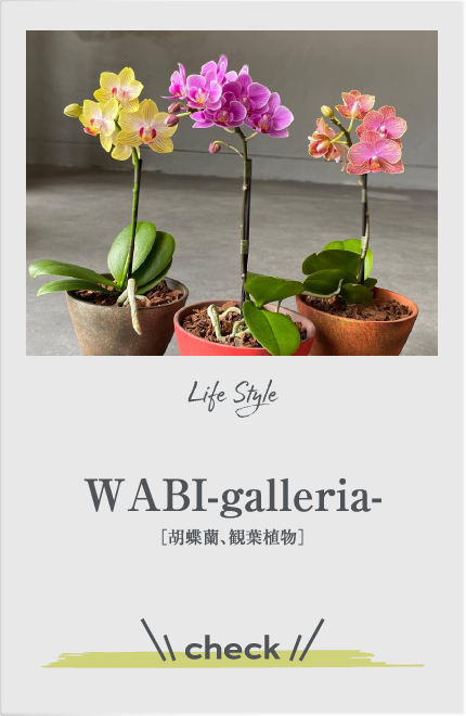 WABI-galleria-