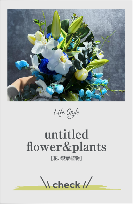 untitled flower&plants