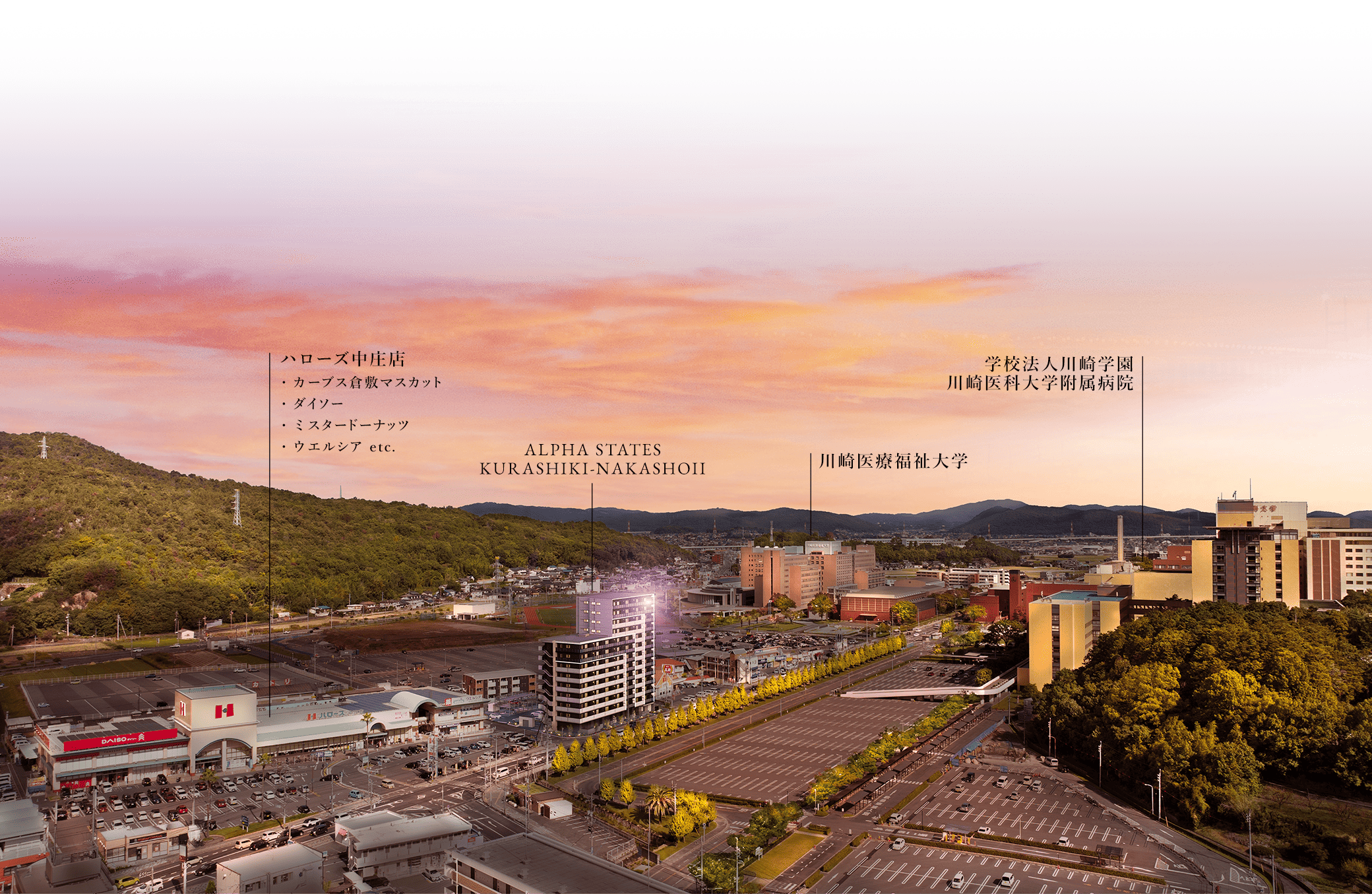 航空写真（2025年12月撮影）