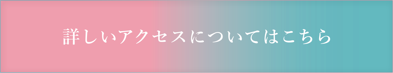 詳しいアクセスについてはこちら