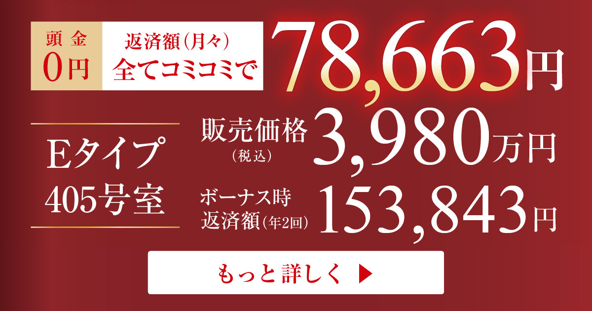 Eタイプ405号室 返済例