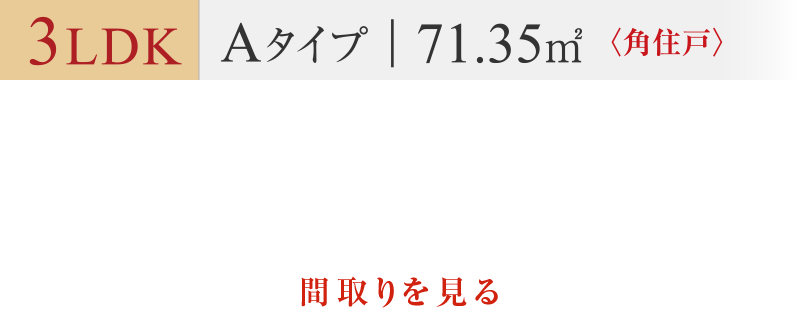 Aタイプ