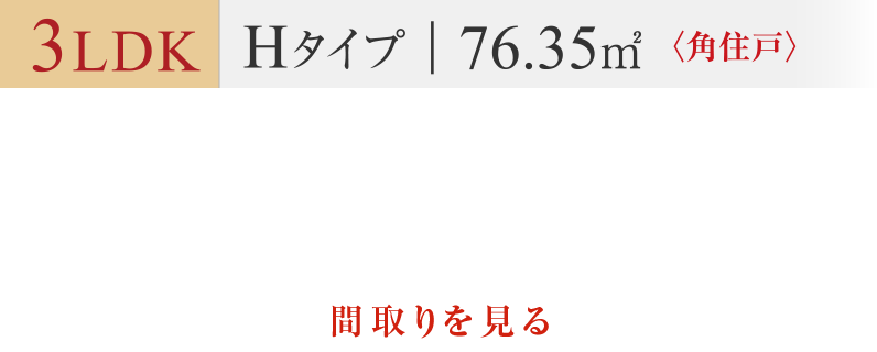 Hタイプ