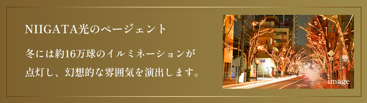 NIIGATA光のページェント