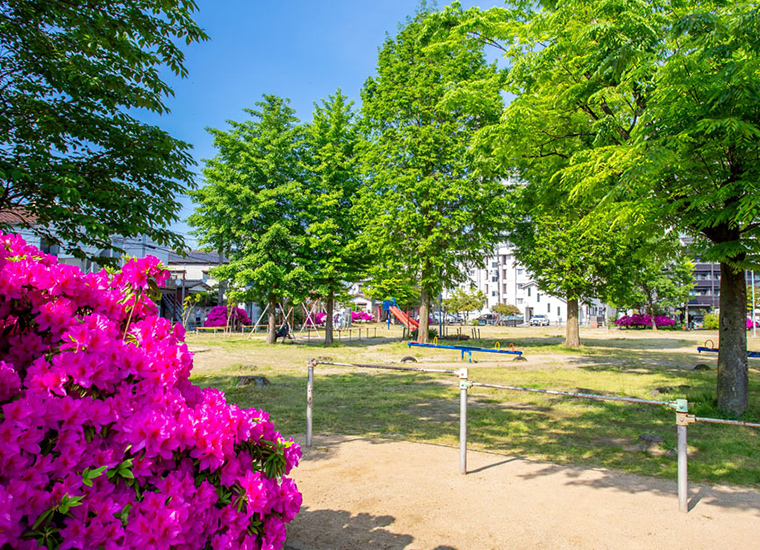 太陽公園