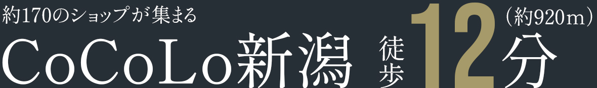 CoCoLo新潟徒歩12分