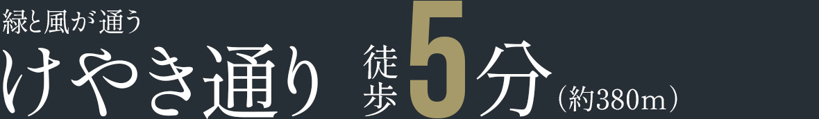 けやき通り徒歩5分