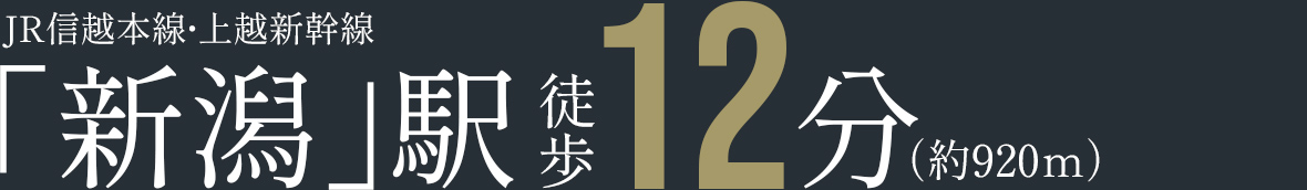 新潟駅徒歩12分