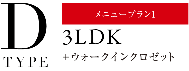 Dタイプ