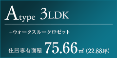 Aタイプ