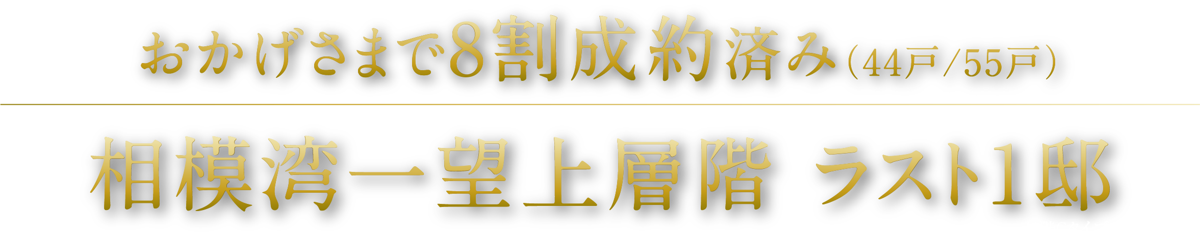 相模湾一望上層階 ラスト1邸