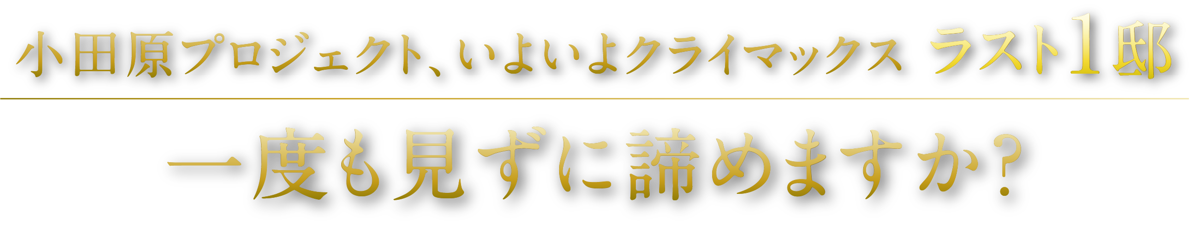 小田原プロジェクト、いよいよクライマックス　ラスト1邸