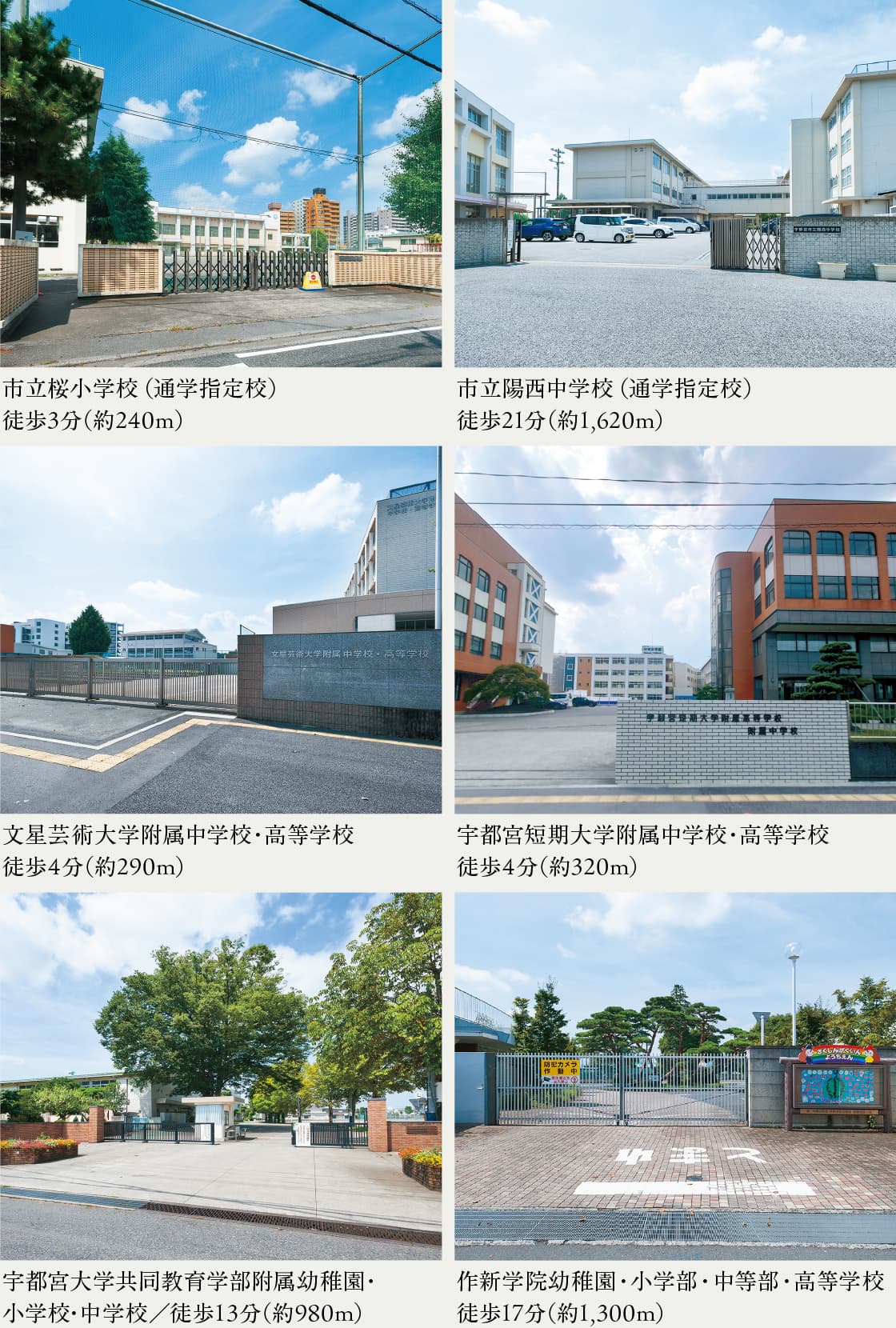 文　教