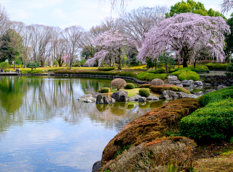四季折々の景観が楽しめる栃木県中央公園（徒歩7分）。園内には県立博物館も