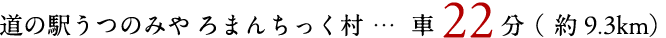道の駅うつのみや ろまんちっく村
