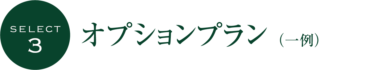 オプションプラン （一例）