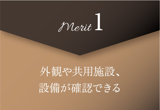 merit1