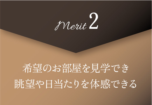 merit2