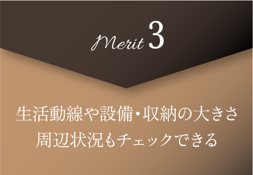 merit3