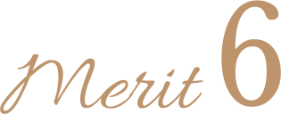 merit6