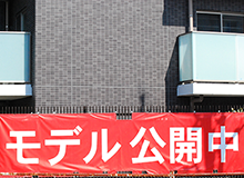 モデル公開中