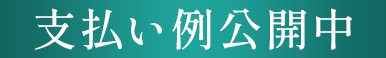 支払い例公開中