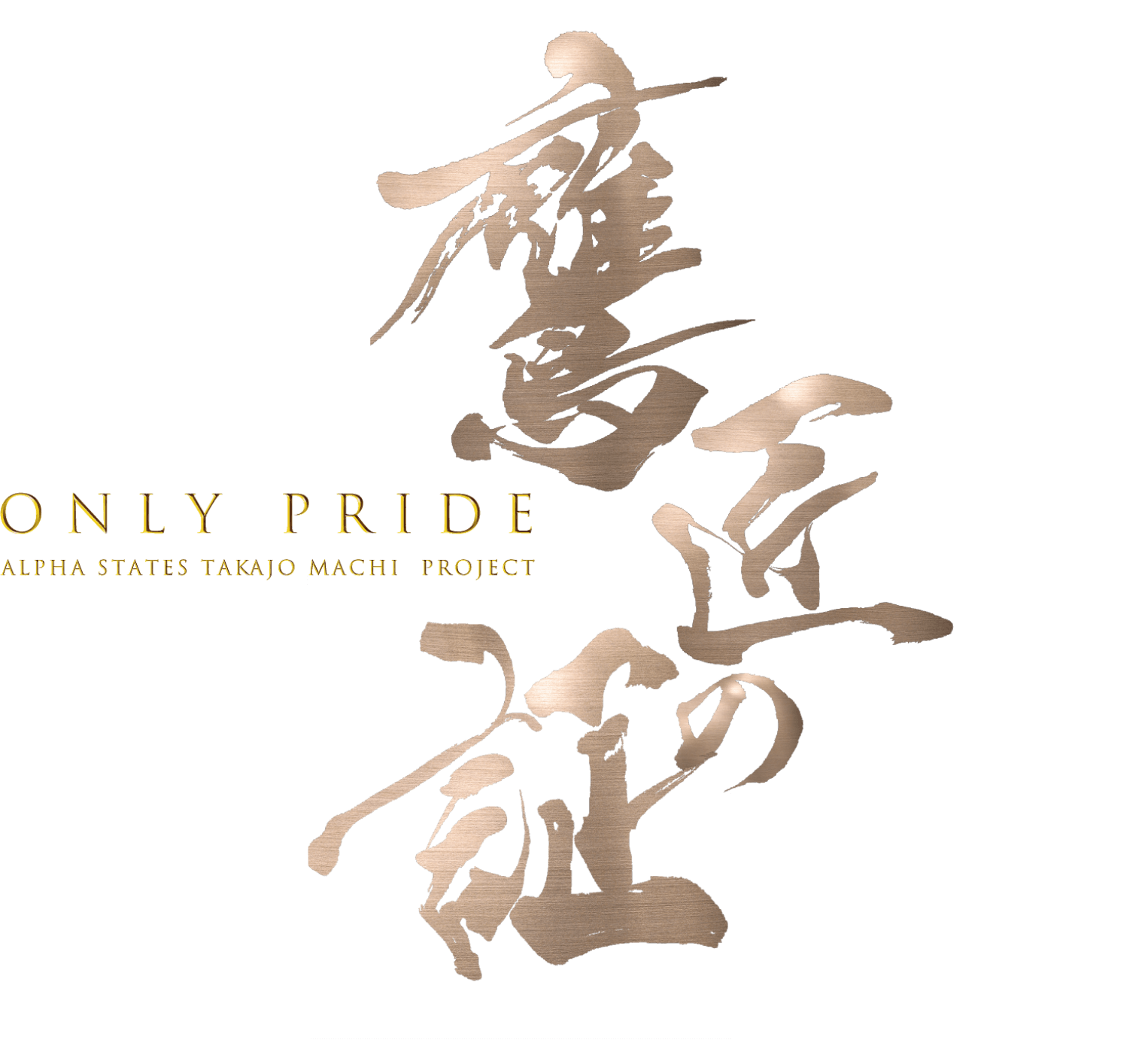 鷹匠の証 ONLY PRIDE ALPHA STATES TAKAJO MACHI PROJECT
